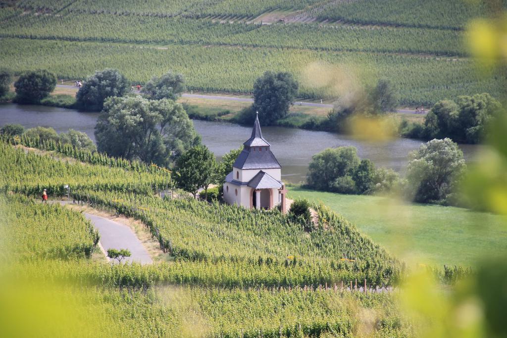 Wein & Gastehaus Hermeshof Hotel Trittenheim Eksteriør billede