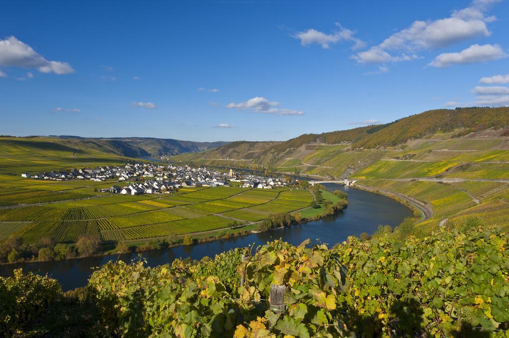 Wein & Gastehaus Hermeshof Hotel Trittenheim Eksteriør billede