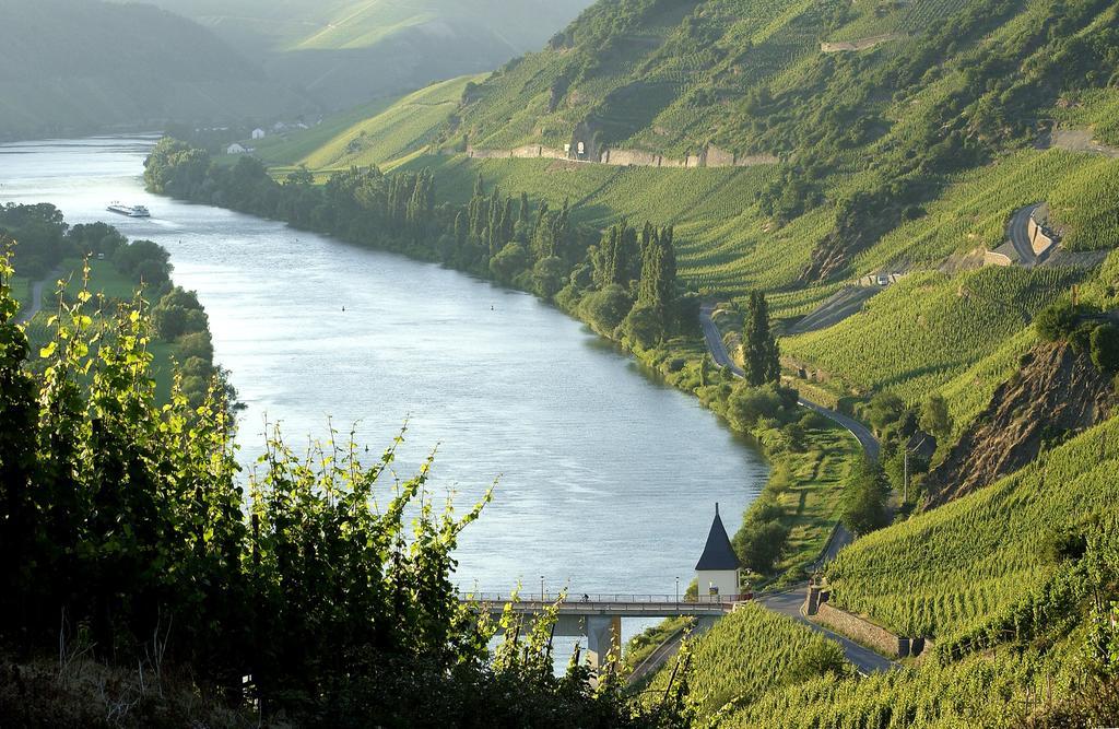 Wein & Gastehaus Hermeshof Hotel Trittenheim Eksteriør billede