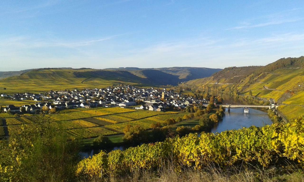 Wein & Gastehaus Hermeshof Hotel Trittenheim Eksteriør billede