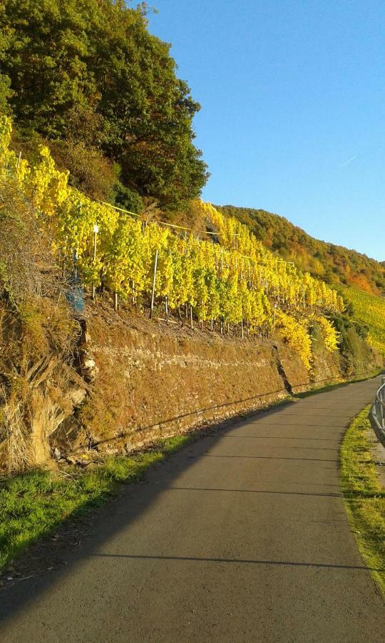 Wein & Gastehaus Hermeshof Hotel Trittenheim Eksteriør billede